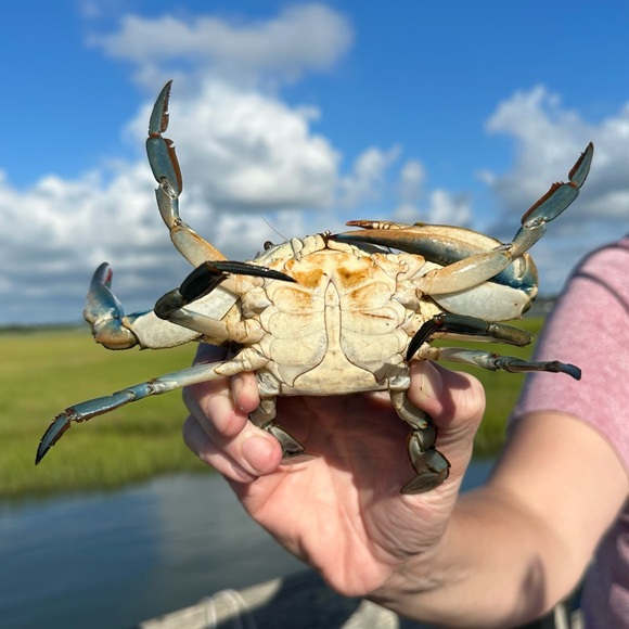 Meet Me -Hi I’m Elizabeth - Picture 3 of 3